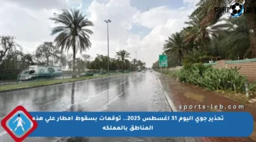 تحذير جوي اليوم 31 اغسطس 2025.. توقعات بسقوط أمطار على هذه المناطق بالمملكة
